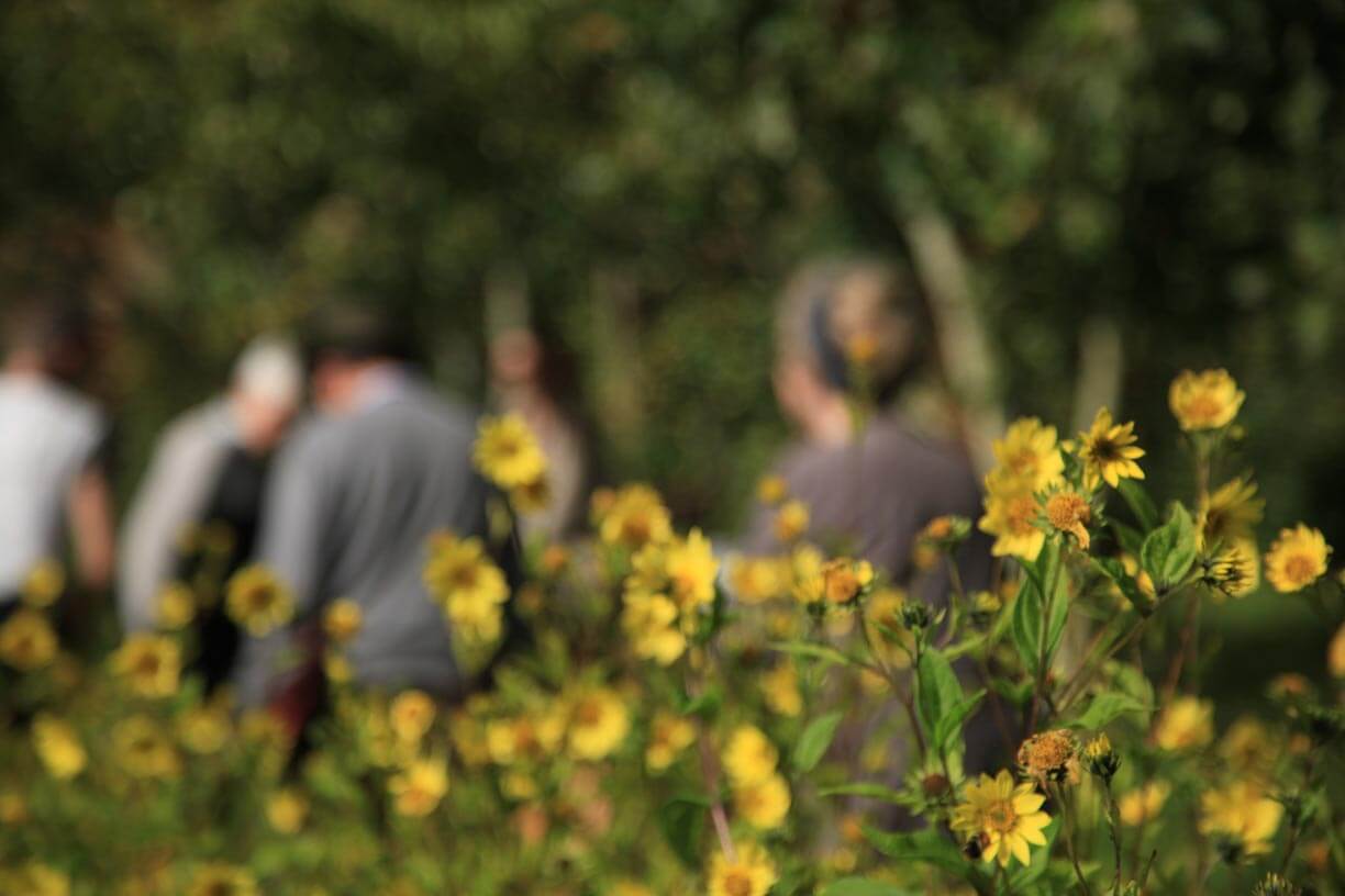 Venue Hire Enquiry Form